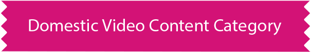 Domestic Video Content Category Winning Entries