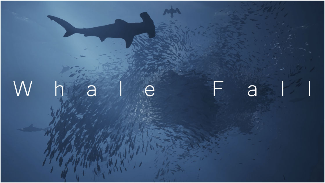 『Whale Fall』東京藝術大学 大学院　山根 風馬