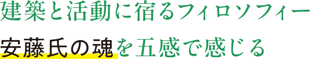 建築と活動に宿るフィロソフィー 安藤氏の魂を五感で感じる