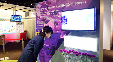Exhibits Common Followers / White out 2009-