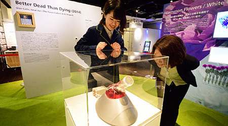 Exhibits Better Dead Than Dying 2014