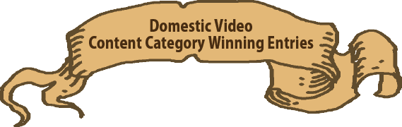 Domestic Video Content Category Winning Entries