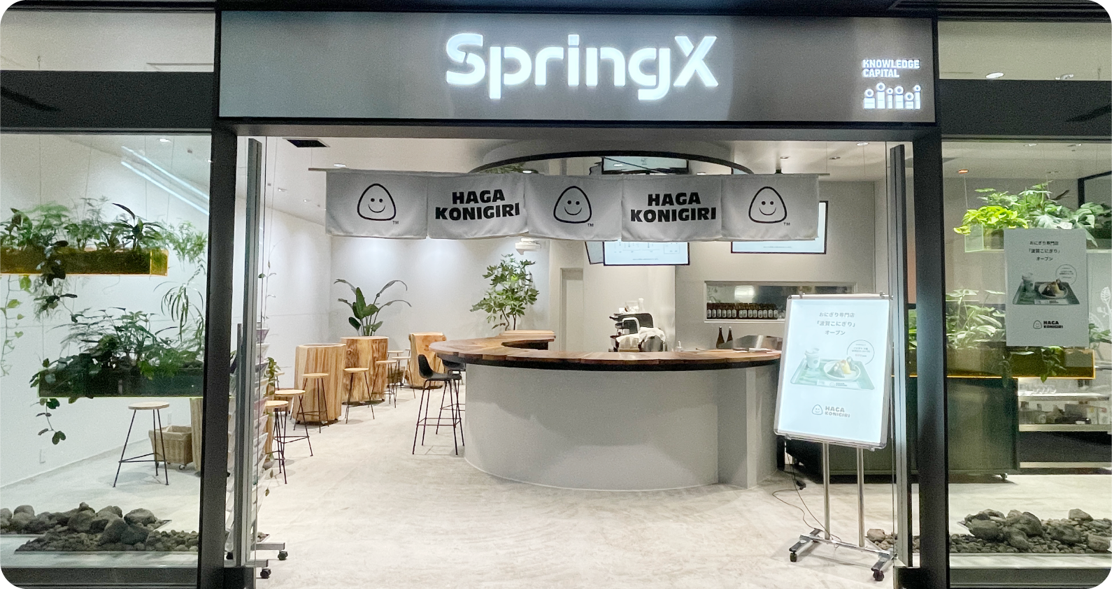 SpringX