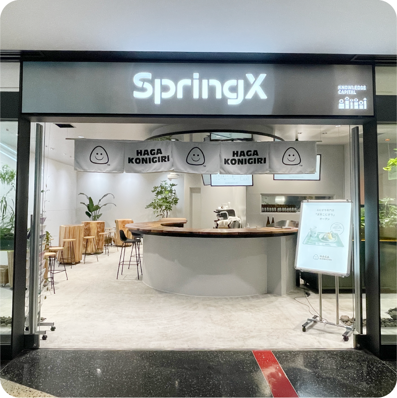 SpringX